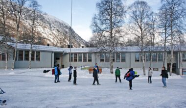 Skolenedleggelse, Sentralisering | Vi trenger ungdomsskolen vår