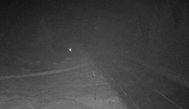 Et webkamerabilde av E6 nord for Snåsa. Det er mørkt og mye snø på stedet.