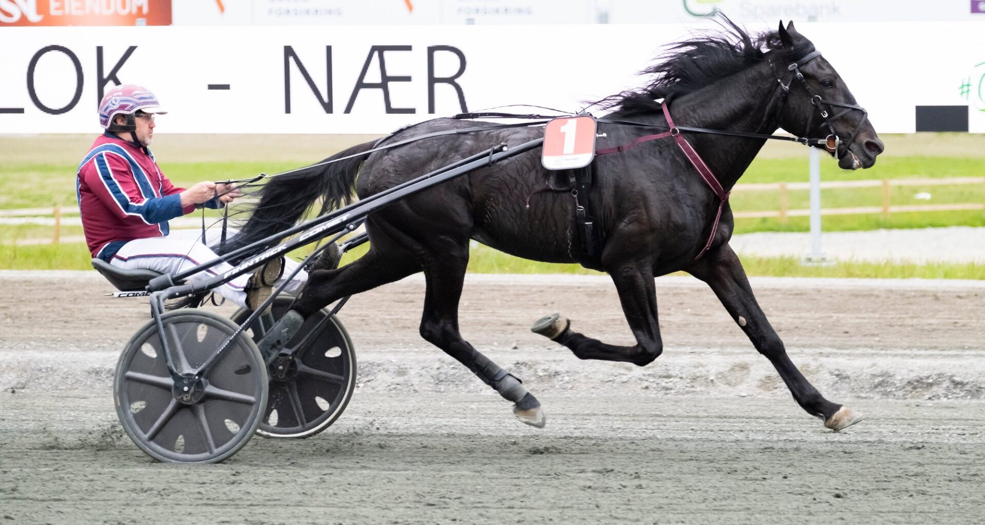 Godbiter blir servert til lunsj