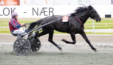 Godbiter blir servert til lunsj