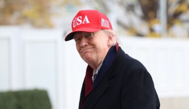 Donald Trump, Fredsplan | Neumann: – Kan ikke stole på fredsmegler med økonomisk agenda