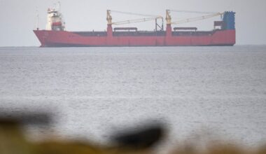 Sverige, Tollvesenet | Russisk skip får forlate Sverige