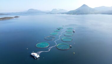 Økonomi og næringsliv, Havbruk | Lakseskatten har bare gitt en brøkdel av ventede inntekter