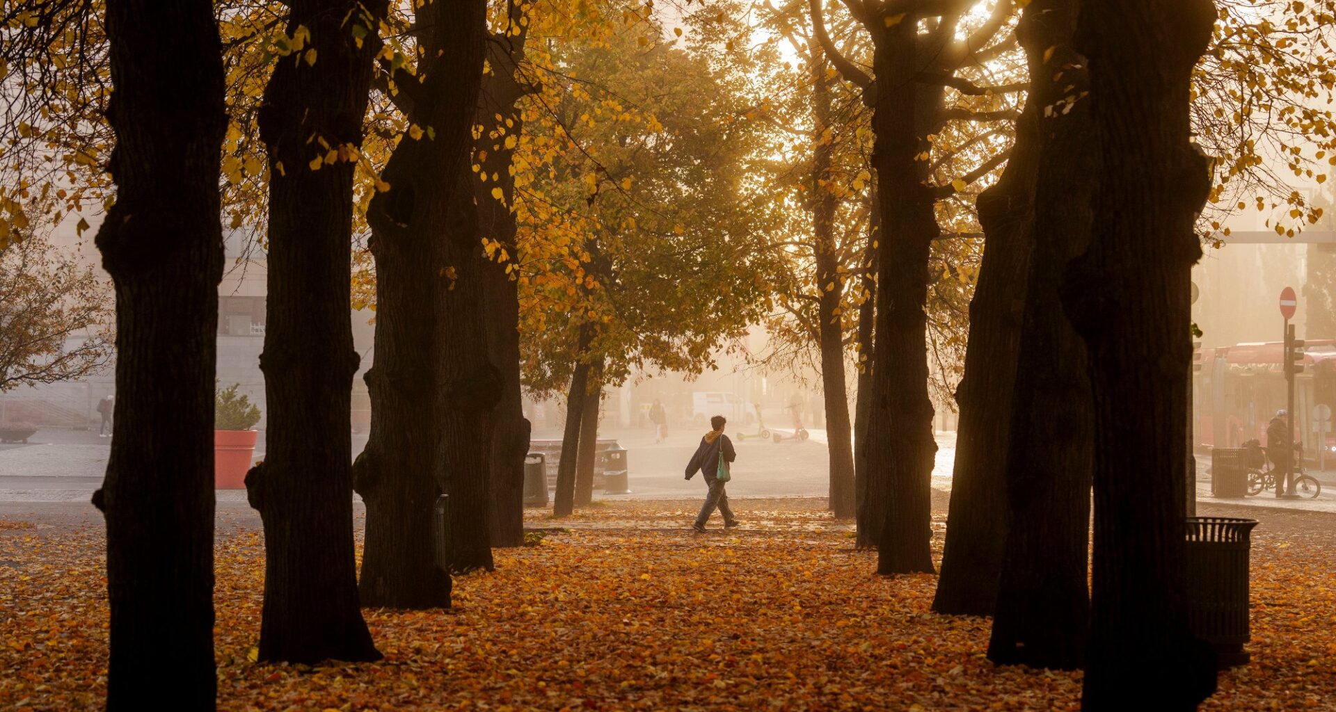 Meteorologisk institutt, Snø | – Ingenting som minner om hvit jul