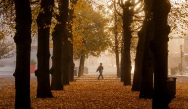 Meteorologisk institutt, Snø | – Ingenting som minner om hvit jul