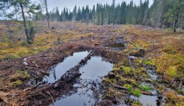 Her gikk det engang en sti