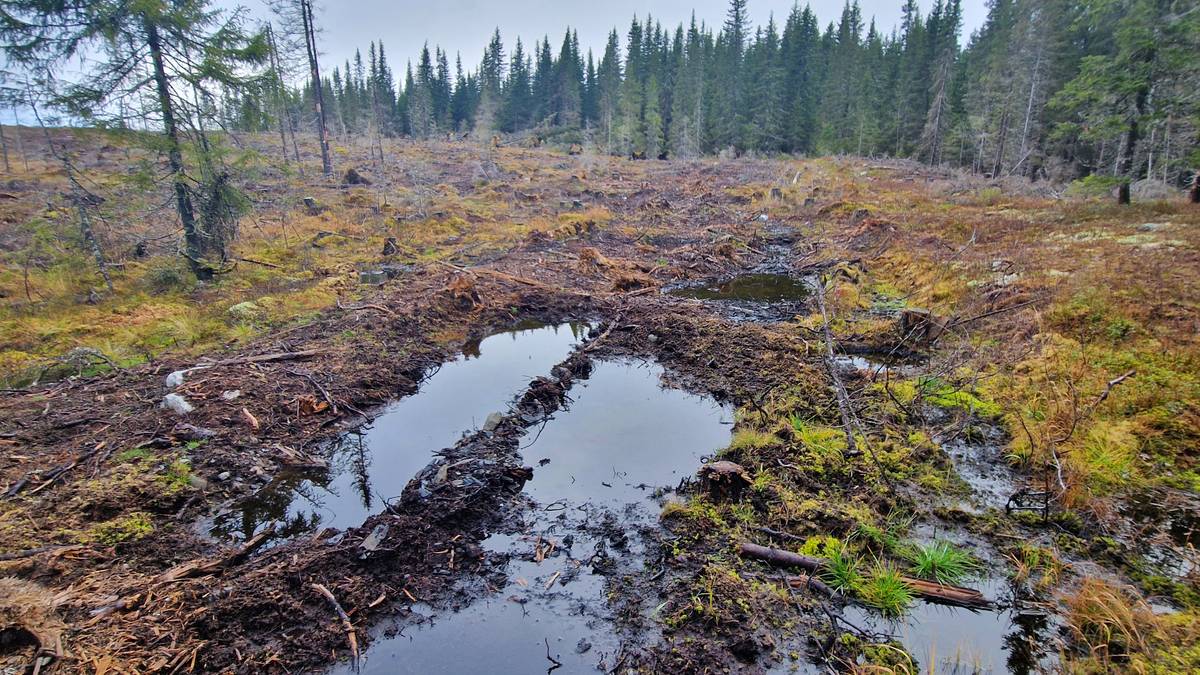 Her gikk det engang en sti