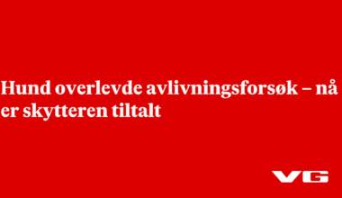Hund overlevde avlivningsforsøk – nå er skytteren tiltalt
