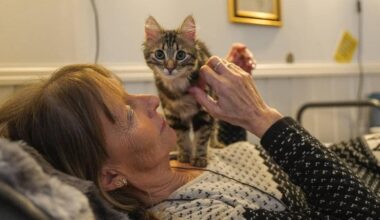En person ligger ned med en kattunge som sitter på magen hennes. Den voksne kvinnens hender stryker kattungen. Omgivelsene er et innendørs rom med en lys farge på veggene. Det er synlige interiørelementer som en ramme med et bilde i bakgrunnen.
