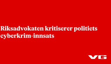 Riksadvokaten kritiserer politiets cyberkrim-innsats