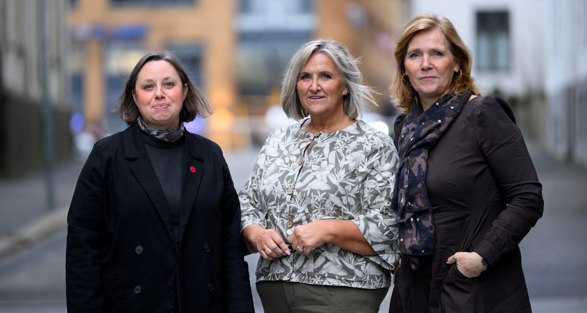 Partnervold, Vold i nære relasjoner