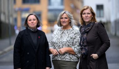 Partnervold, Vold i nære relasjoner