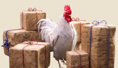 Gir bort Raider Tokens til alle spillere