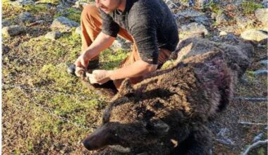 Isak Dreyer, Jakt | Isak Dreyer tiltalt for ulovlig jakt: – Angrer ikke på noe