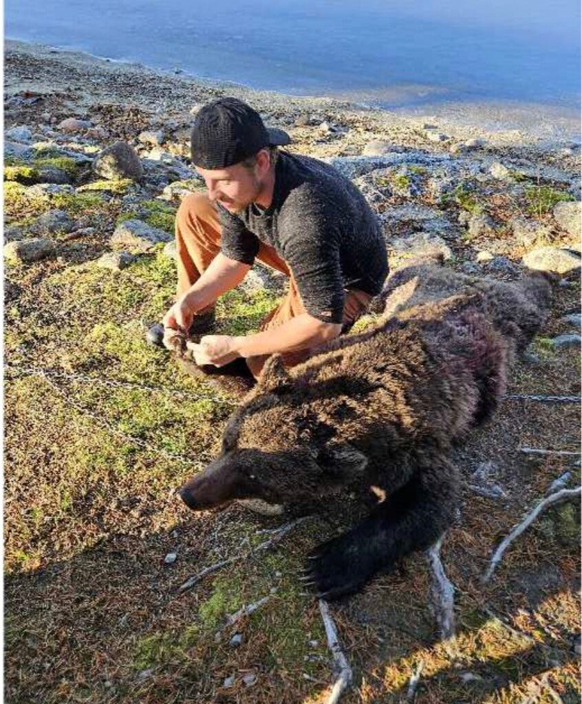 Isak Dreyer, Jakt | Isak Dreyer tiltalt for ulovlig jakt: – Angrer ikke på noe