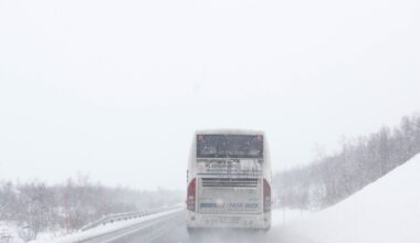 Svipper, Troms fylkestrafikk | Hjem til romjul med Svipper