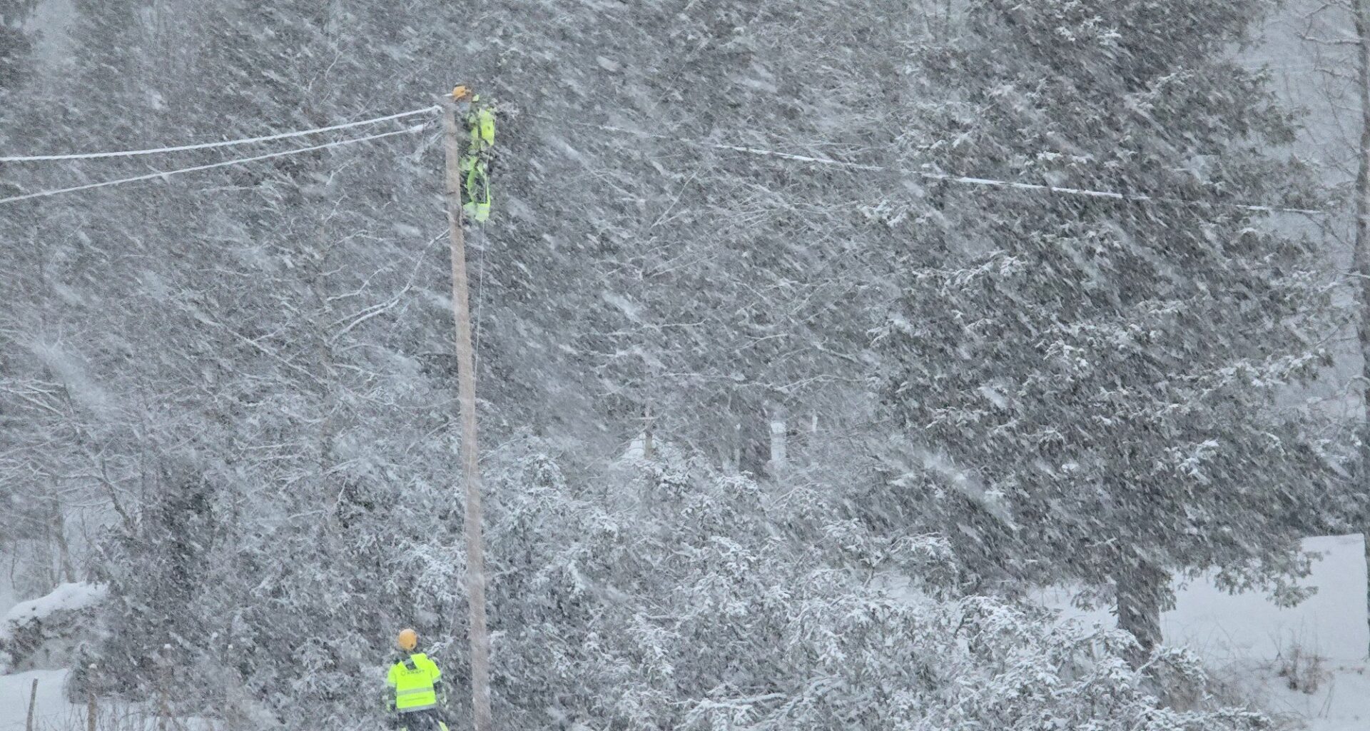Vær, Næringsliv | Helgas uvær koster Linea minst 50 millioner kroner