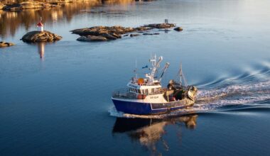 Nullfiske stopper leveranse av reker fra Færder nasjonalpark – NRK Vestfold og Telemark – Lokale nyheter, TV og radio