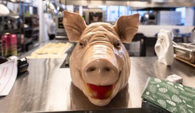 Griseflaks for de som kom tidlig