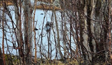 – Holdt fart langt over fartsgrensen