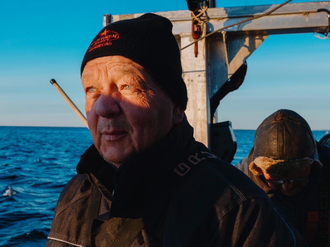 Siste hummerfiske før forbudet: – Det er galskap