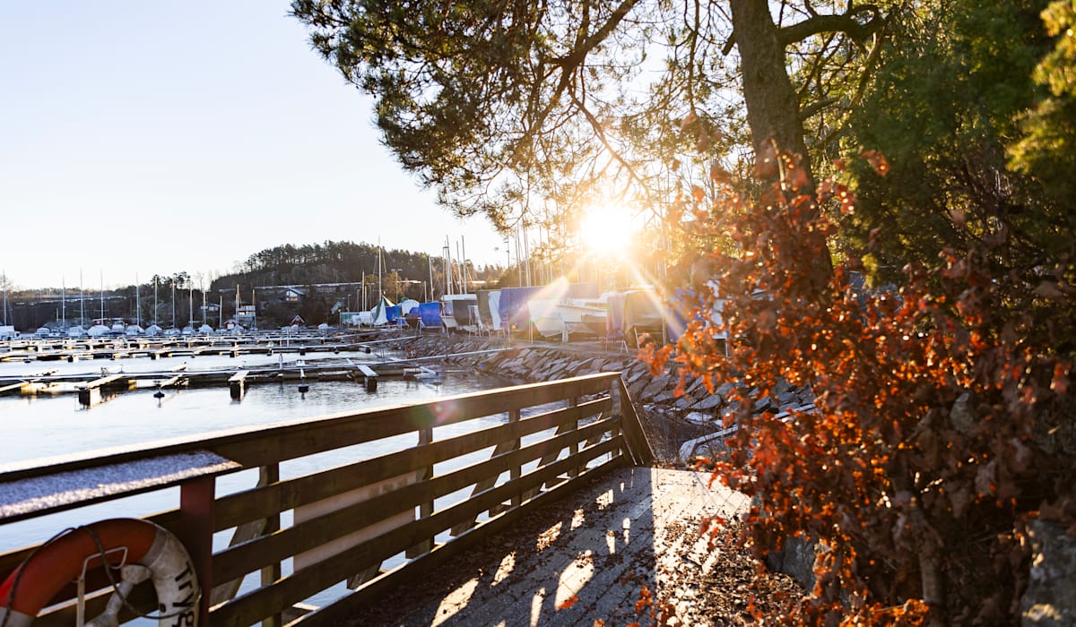 (+) Meteorologen: – Det må sies å være velfortjent - fvn.no