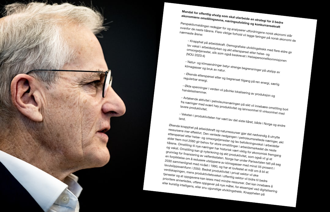 Dette var mandatet som nesten fikk MDG til å felle statsministeren