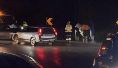 Nyhet, Trøsken | Løpsk hest kolliderte med bil på Trøskenveien – måtte avlives