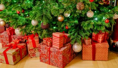 NTB, Julehandel | PostNord melder om rekordhøyt antall pakker fra Kina