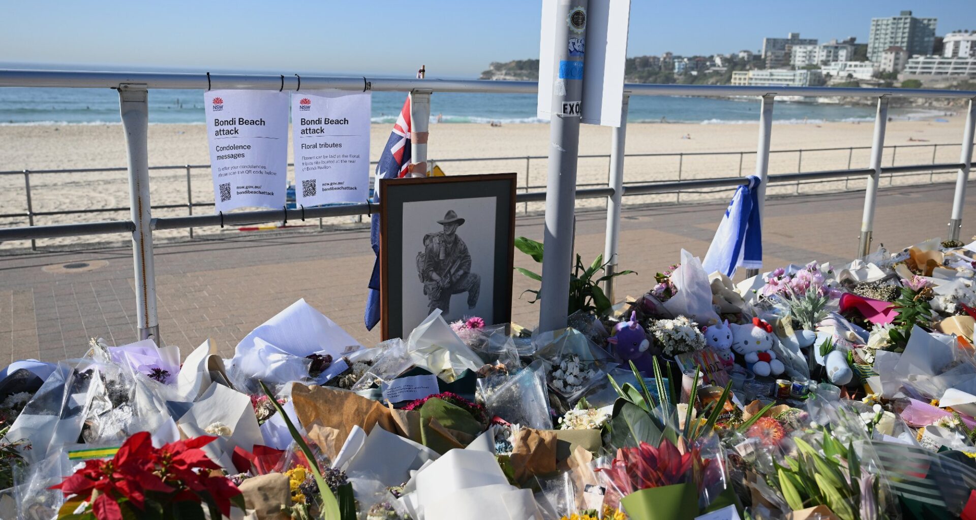 Bondi Beach-massakren, Bondi Beach | Bondi Beach-pårørende krever gransking