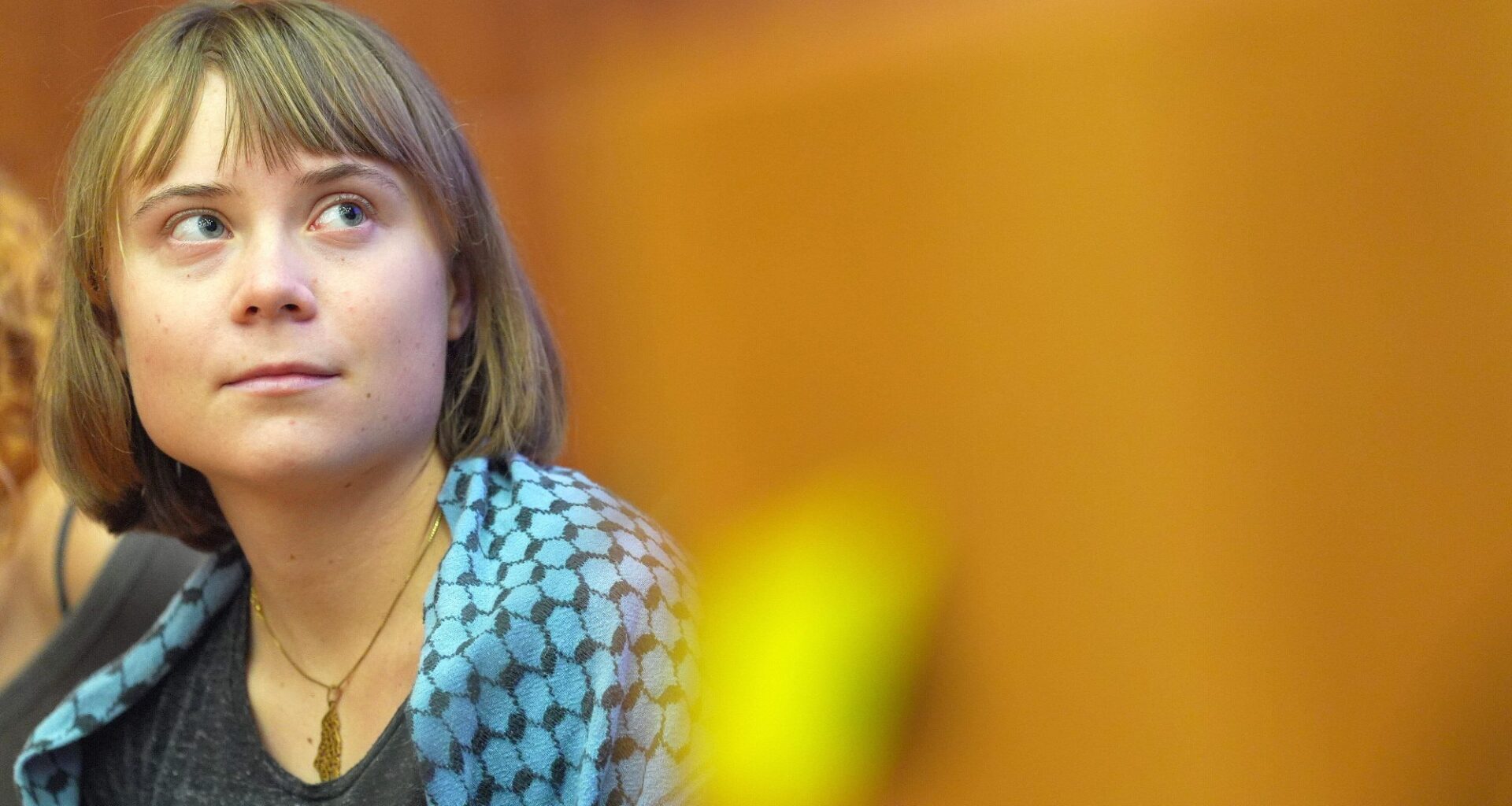 Greta Thunberg, Tiltalt | Thunberg tiltalt i Finland