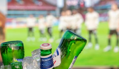 Fotball-VM 2026, Alkohol | Kan bli skjenkestopp under Norge-kamper i VM i fotball – Frp vil ha unntak