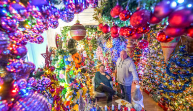 Har 621 juletrær hjemme