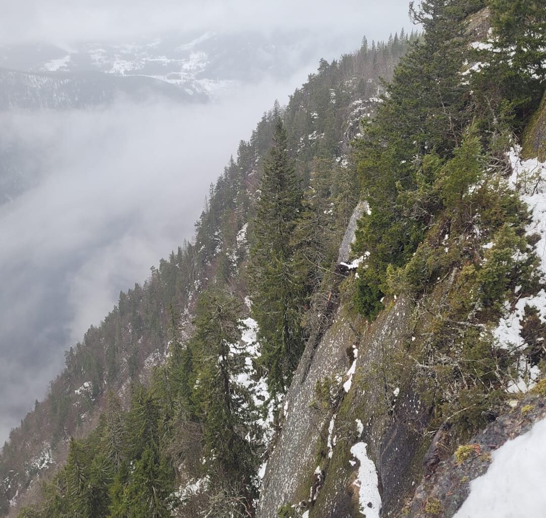 – Veldig vanskelig å gi opp
