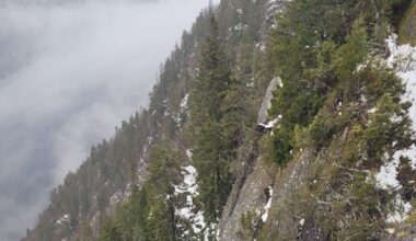 – Veldig vanskelig å gi opp