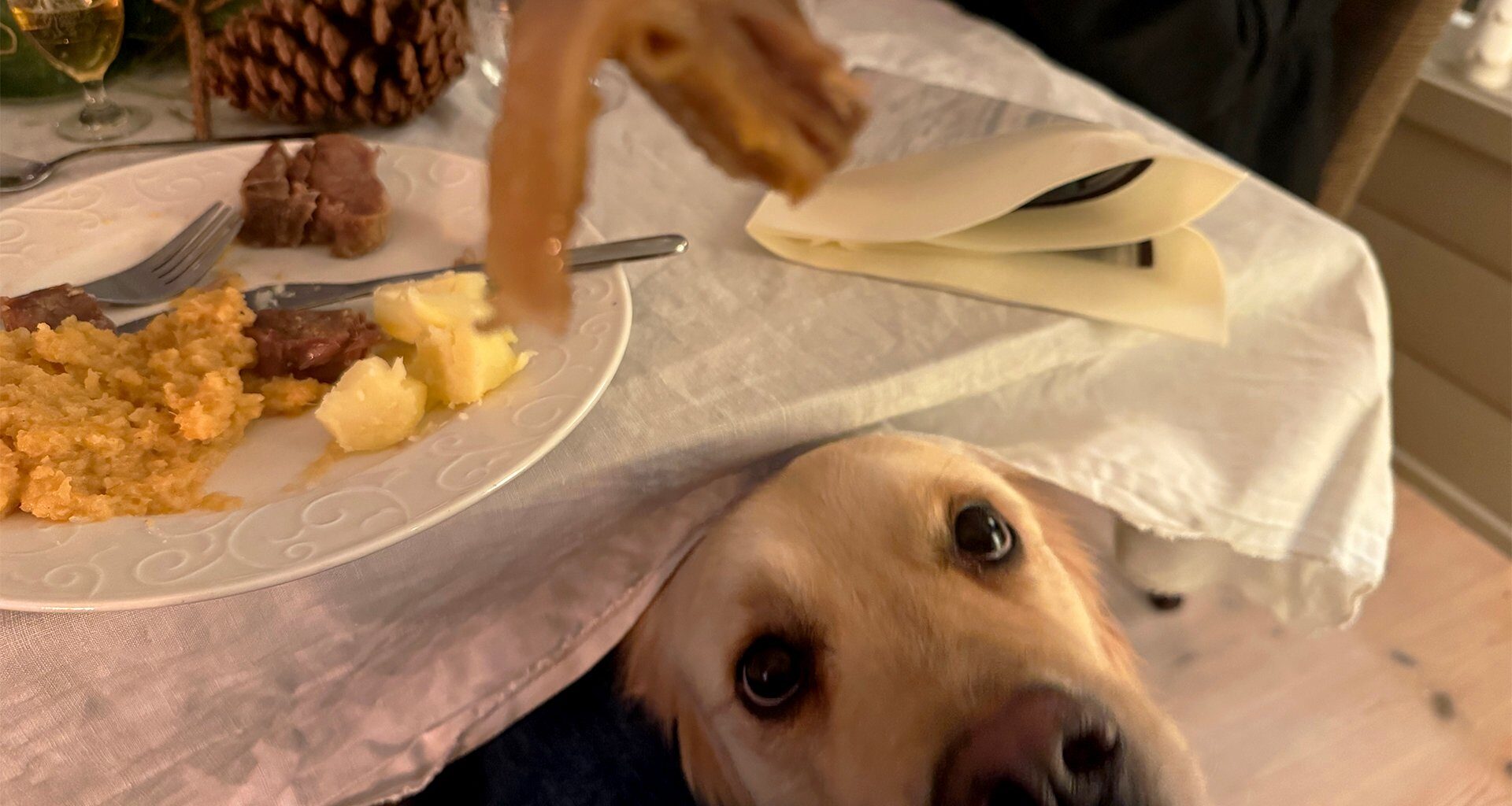 Forbruker, Mat og drikke | Kan bli alvorlig syke: – Ser det hver jul