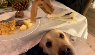 Forbruker, Mat og drikke | Kan bli alvorlig syke: – Ser det hver jul