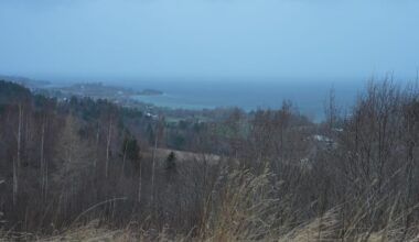 Stenger bru på grunn av sterk vind - adressa.no