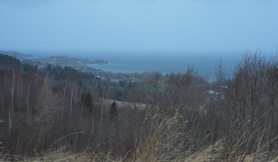Stenger bru på grunn av sterk vind - adressa.no