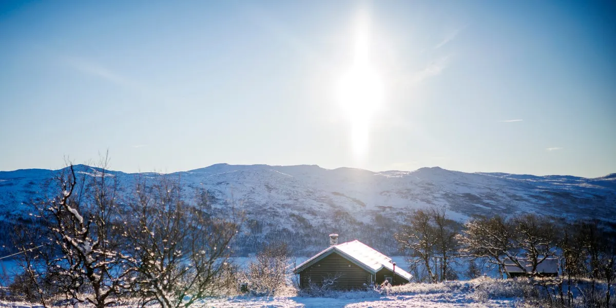 Kortslutning om hyttestrøm og norgespris - Dagens Næringsliv