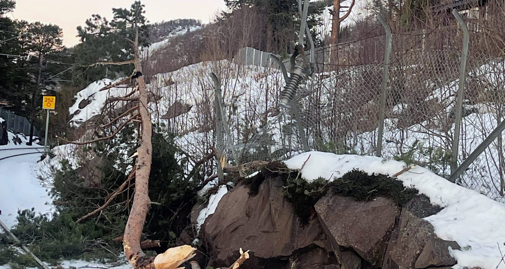 Bergensbanen, Tog | Bergensbanen stengt etter furuvelt på kjøreledningen