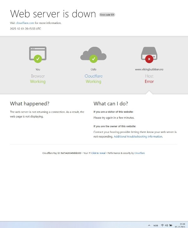 Vikings nettbutikk slet med pågangen mandag kveld.