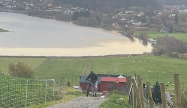 Nyheter, Politi | Politiet ber om hjelp i drapssak