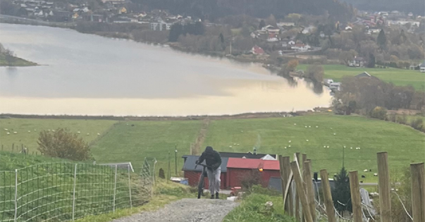 Nyheter, Politi | Politiet ber om hjelp i drapssak