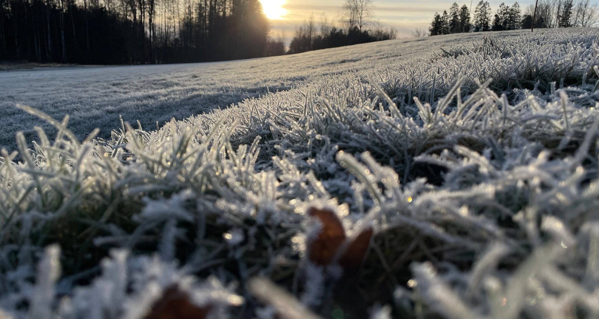 Vær, Jul | Ikke helt hvit jul, men nesten … 