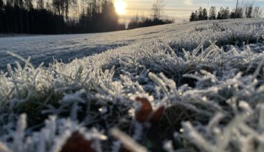 Vær, Jul | Ikke helt hvit jul, men nesten … 
