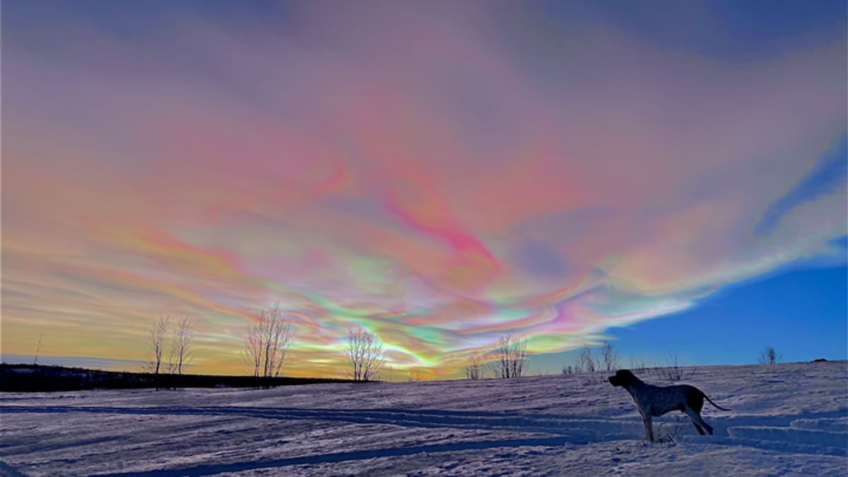 Perlemorsky i Kautokeino