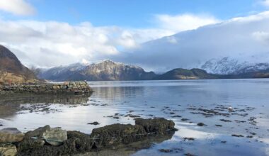 Bildet viser en rolig fjord med fjell i bakgrunnen, delvis dekket av snø. I forgrunnen er det stein og sjøgress langs stranden. Vannet reflekterer de omkringliggende fjellene og himmelen, som har både blå og skyaktige partier. Omgivelsene gir inntrykk av en fredelig naturlig setting.