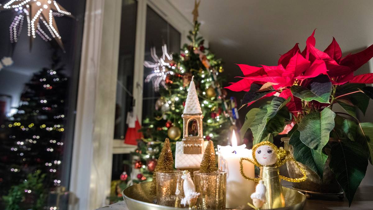 Slik blir dei raude dagane i 2026 – NRK Nordland