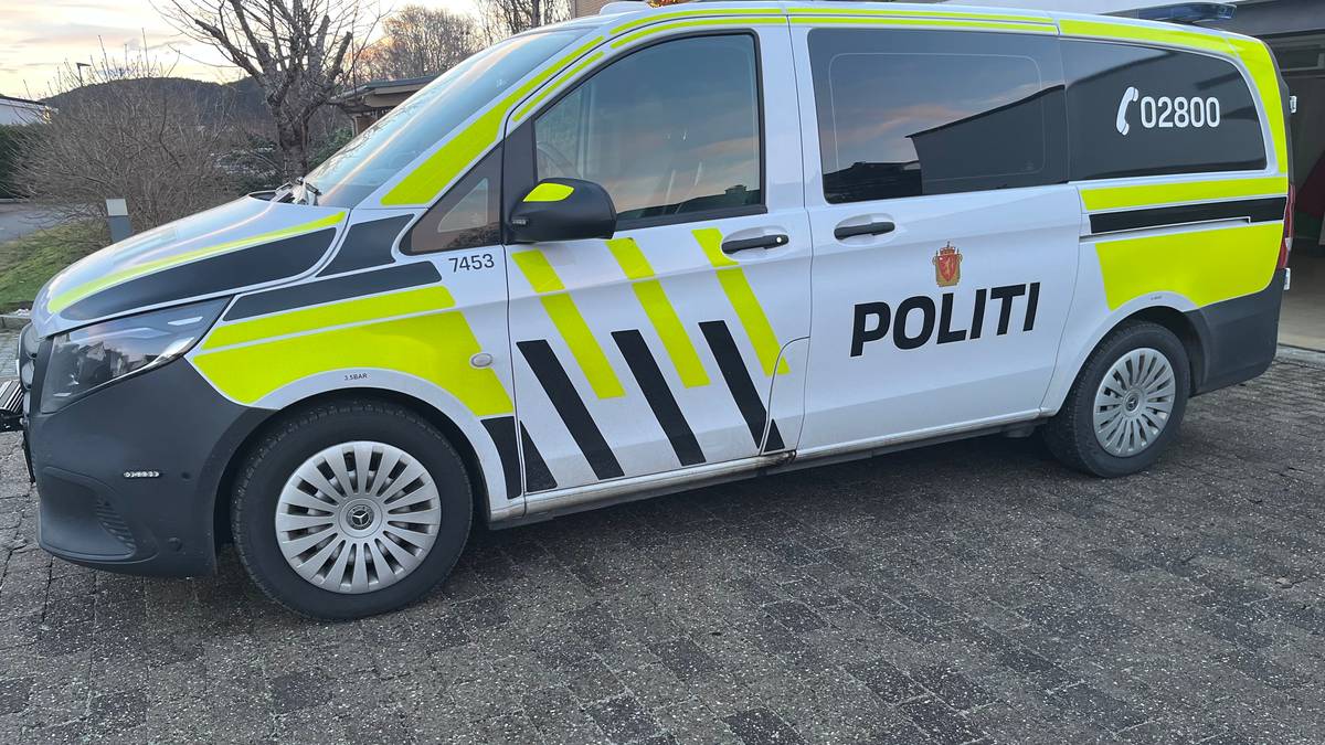 En politibil står parkert på en brosteinsbelagt gate. Bilen har tydelig merking med 'POLITI' og telefonnummeret 02800. Omgivelsene inkluderer hus og trær i bakgrunnen. Bildekomposisjonen viser venstre side av bilen. (Bildebeskrivelsen er laget av en KI-tjeneste)
